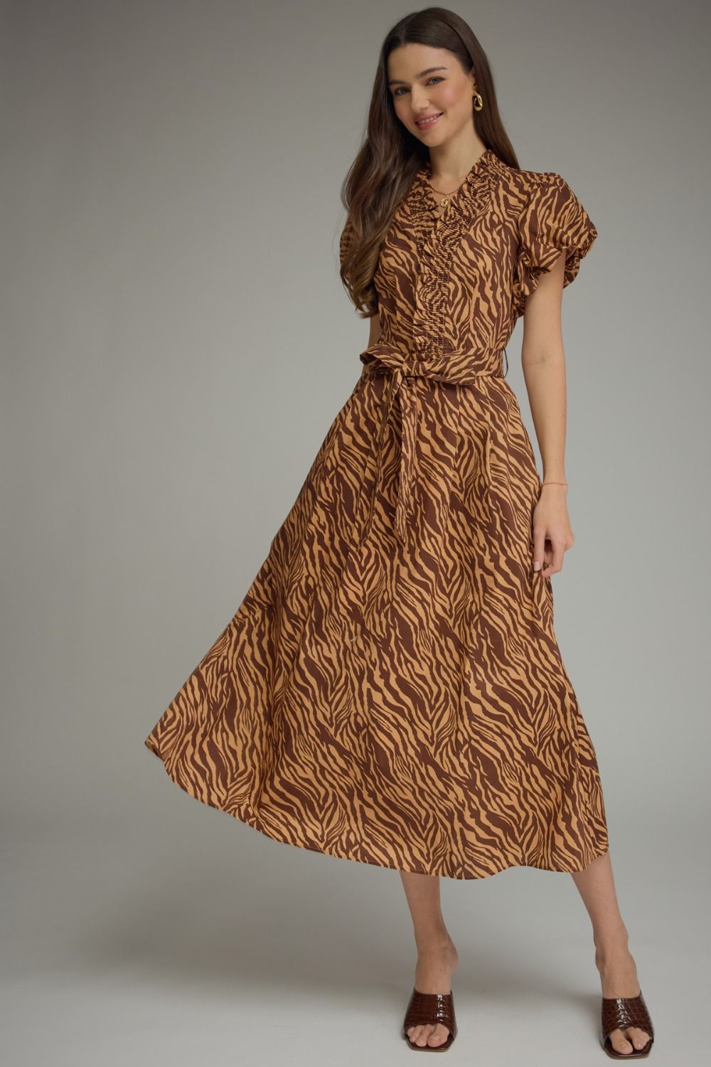 Animal Kingdom Dress