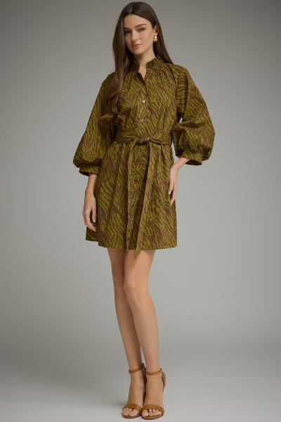 Wild One Dress